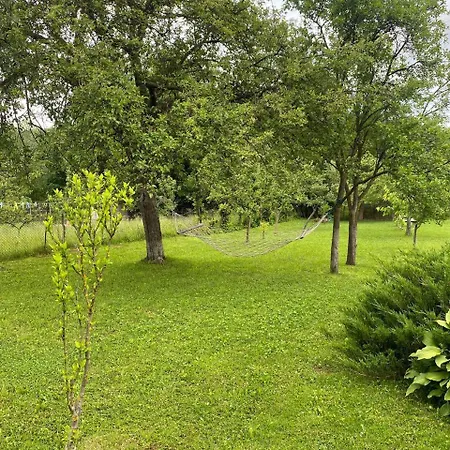 орхідея * Sheshory