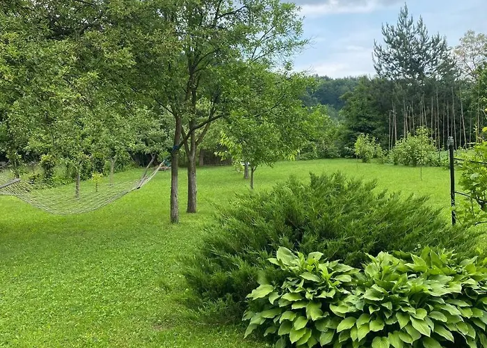 山林小屋 орхідея *