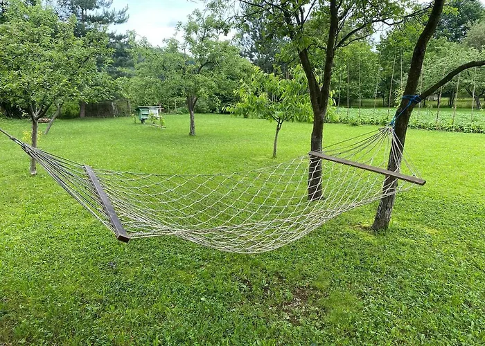 орхідея 山林小屋