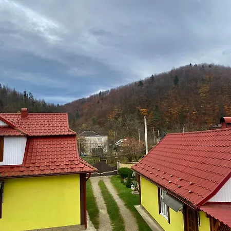 орхідея Chata Šešory