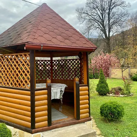 орхідея Orman Evi
