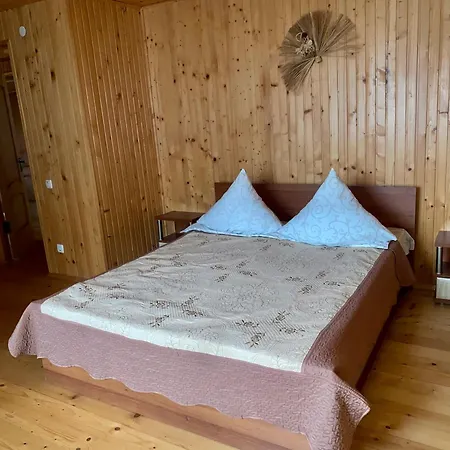 орхідея Šešory