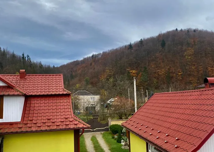 орхідея Orman Evi Sheshory