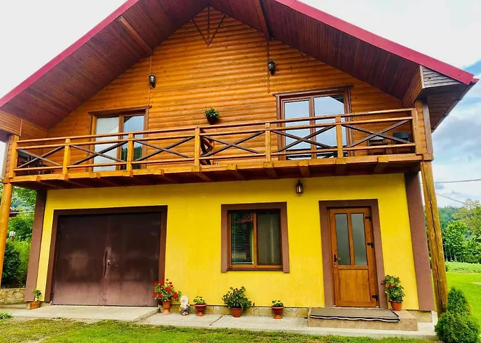 Orman Evi орхідея *